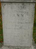 image of grave number 229216